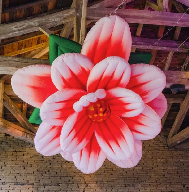 Inflatable Hanging Flower (2) Inflatable Hanging Flower (2)